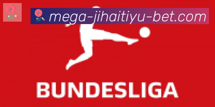 即嗨体育合作伙伴